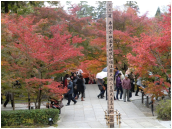 永観堂禅林寺の紅葉