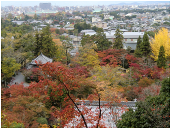 永観堂禅林寺の紅葉