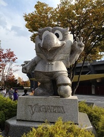 ベガッタ君
