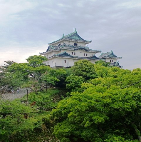 和歌山の観光・グルメ情報「和歌山城巡りとみかんジュース」